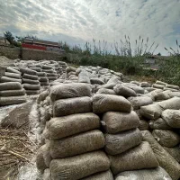 خوراک دام ذرت علوف ای گاو گوسفند|عمدهفروشی|مزرعه کتول, |دیوار