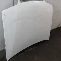 کاپوت زانتیا