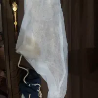 ساکسیفون آلتو ساخت امریکا|سازهای بادی|تبریز, |دیوار