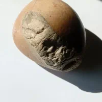 سنگ آسیابی بسیار  شهاب بالماس سیاه