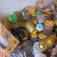 پت ۱۳ کیلویی