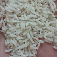 برنج درونگر|خوردنی و آشامیدنی|قوچان, |دیوار