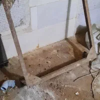 پایه کولرابی