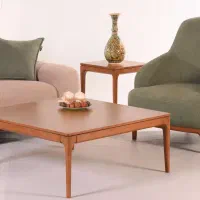 نجار/خیاط/زیرکار/مونتاژ کار/رویه کوب