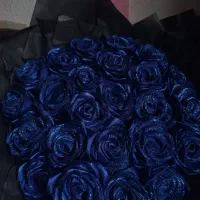 رز ربانی آبی|گل مصنوعی|شیروان (خراسان), |دیوار