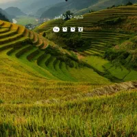 پیاده روی ،کیش گردی