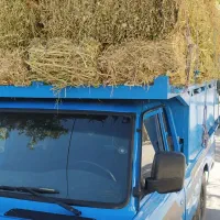 فروش کاه لوبیا پرس شده