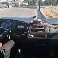 سر ته پیلسان