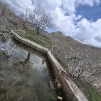 معاوضه زمین با خودروی سواری