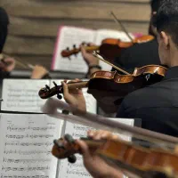 تدریس خصوصی موسیقی تئوری و ویولن کلاسیک