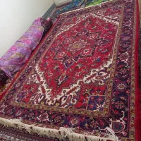 فرش هریس تاجری ۶ متری