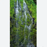 راهنمایی کنید تفریح و گردش