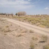 باغ پسته و زمین ویلایی بردسیر - آب، برق،گاز و تلفن