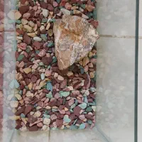 ۲ عدد اکواریوم با سنگ تزئینی و شن|ماهی|فولادشهر, A2|دیوار