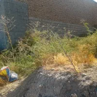 زمین خام|فروش زمین و ملک کلنگی|شاهین دژ, |دیوار