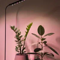 لامپ رشد گیاه فلامینگو