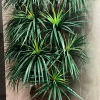 درختچه مصنوعی وارداتی