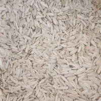 پسته و تخمه|خوردنی و آشامیدنی|بهاباد, |دیوار