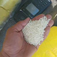 برنج|عمده‌فروشی|کرخه, |دیوار