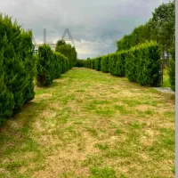 زمین داخل شهرک بخربساز+حومه نور