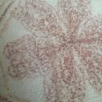 خریداونواع چوب