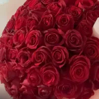 دسته گل طبیعی رز ۱۰۰ شاخه