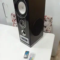 اسپیکر دست ساز کاستوم شده