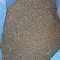 بذر یونجه