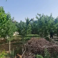 500متر-زمین-دور-دیوار-داخل-شهرک-دور-دیوار-جابان