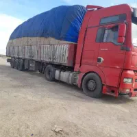 کاه خوارک دام نیشکر تازه یا باگاس|لوازم جانبی حیوانات|قزوین, |دیوار