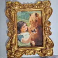 ۶عدد تابلو مخمل|تابلو، نقاشی، عکس|رضوانشهر, |دیوار