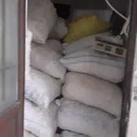 گردو بومی|خوردنی و آشامیدنی|فولادشهر, فولادشهر|دیوار