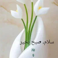 نیازمند ضامن فوری