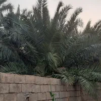 فروش زمین جزیره مینو مینو شهر