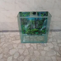 شیشه خمه آکواریوم همراه با متعلقات|ماهی|رشت, نظری|دیوار