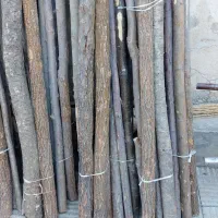 چوب|عمدهفروشی|تهران, تسلیحات|دیوار