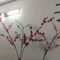 گل بهاری|گل مصنوعی|شیراز, نصر|دیوار