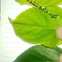 کود ارگانیک مخصوص افزایش محصول و رشد سریع|خدمات باغبانی و درختکاری|مشهد, کلاهدوز|دیوار