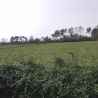 ۲ هکتار شالیزار به همراه ۱ هکتار باغ