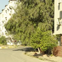 رهن کامل واحد طبقه چهارم با دید کامل دریا سرخرود|اجارهٔ آپارتمان|سرخرود, |دیوار