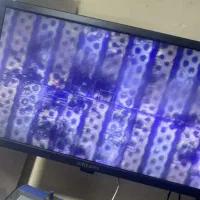 ترمیم السیدی با دستگاه لیزر تخصصی Las-5000|لوازم جانبی موبایل و تبلت|ارومیه, |دیوار