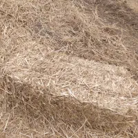 پرس کاه ریگ