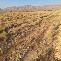 زمین کشاورزی بهترین راه برای سرمایه گذاری|فروش دفتر صنعتی، کشاورزی، تجاری|شیراز, وزیرآباد|دیوار