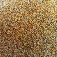 گرده گل انواع رنگ