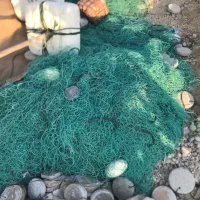تور شیری