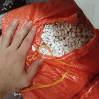 لوبیا سفید|خوردنی و آشامیدنی|اردبیل, |دیوار