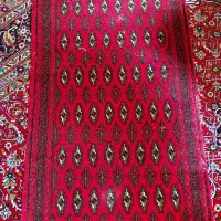 پادری|پادری|تهران, سنائی|دیوار