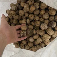 گردو خوش طعم پوست نازک|خوردنی و آشامیدنی|مشهد, مشکینی (شهرک غرب)|دیوار