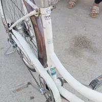 شادگان کوی عبودی