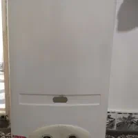 جلد آبگرمکن ایران شرق